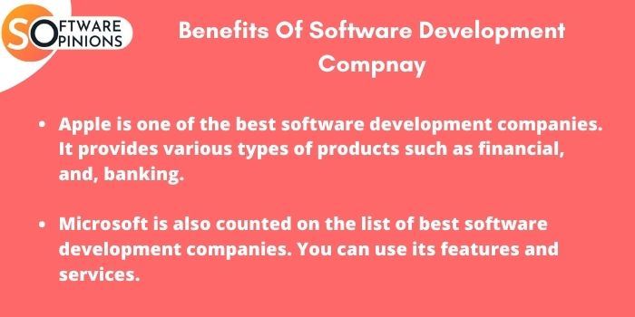 Benefits Of Software Development Company.